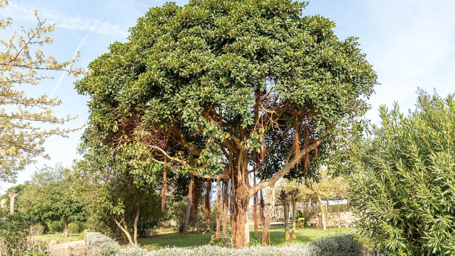Appartement Can Pere Rei à Son Serra de Marina Espagne
