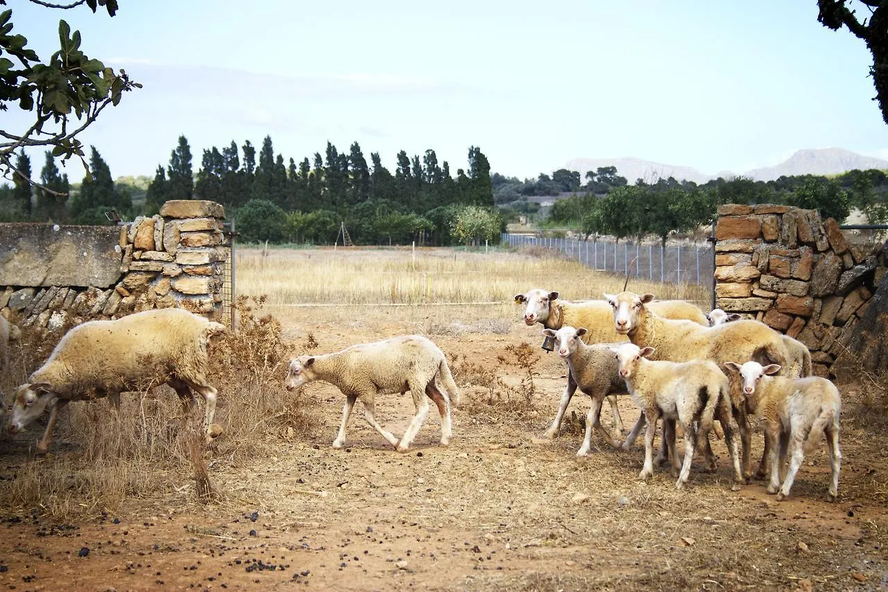 Agroturismo Can Pere Rei Son Serra de Marina 0*,  Spanien